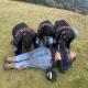 images/GALERIA/Galeria10.jpeg